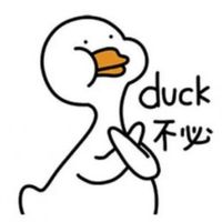 Duck不必